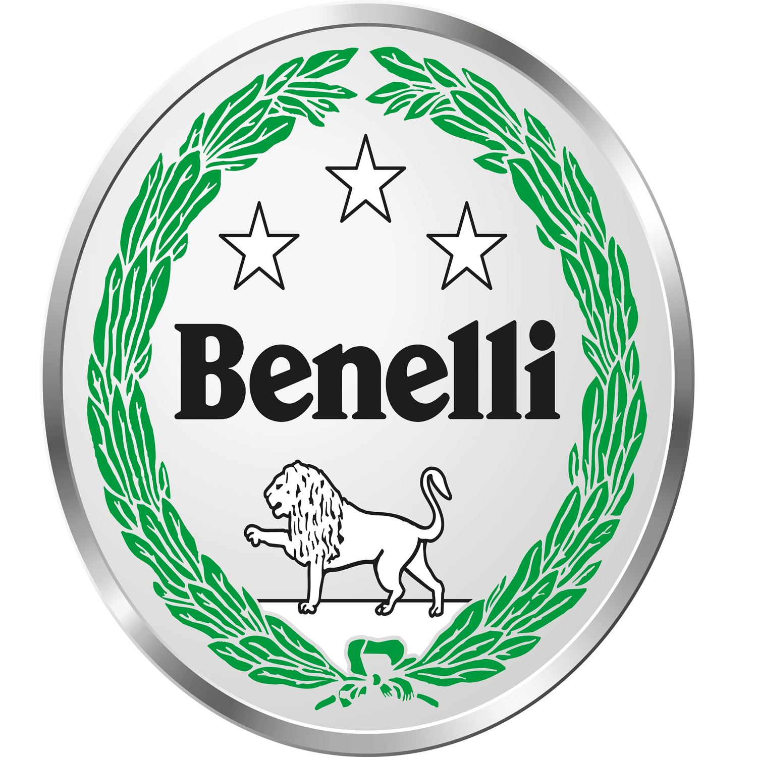 Benelli Ash Grey Motorcycle Paint