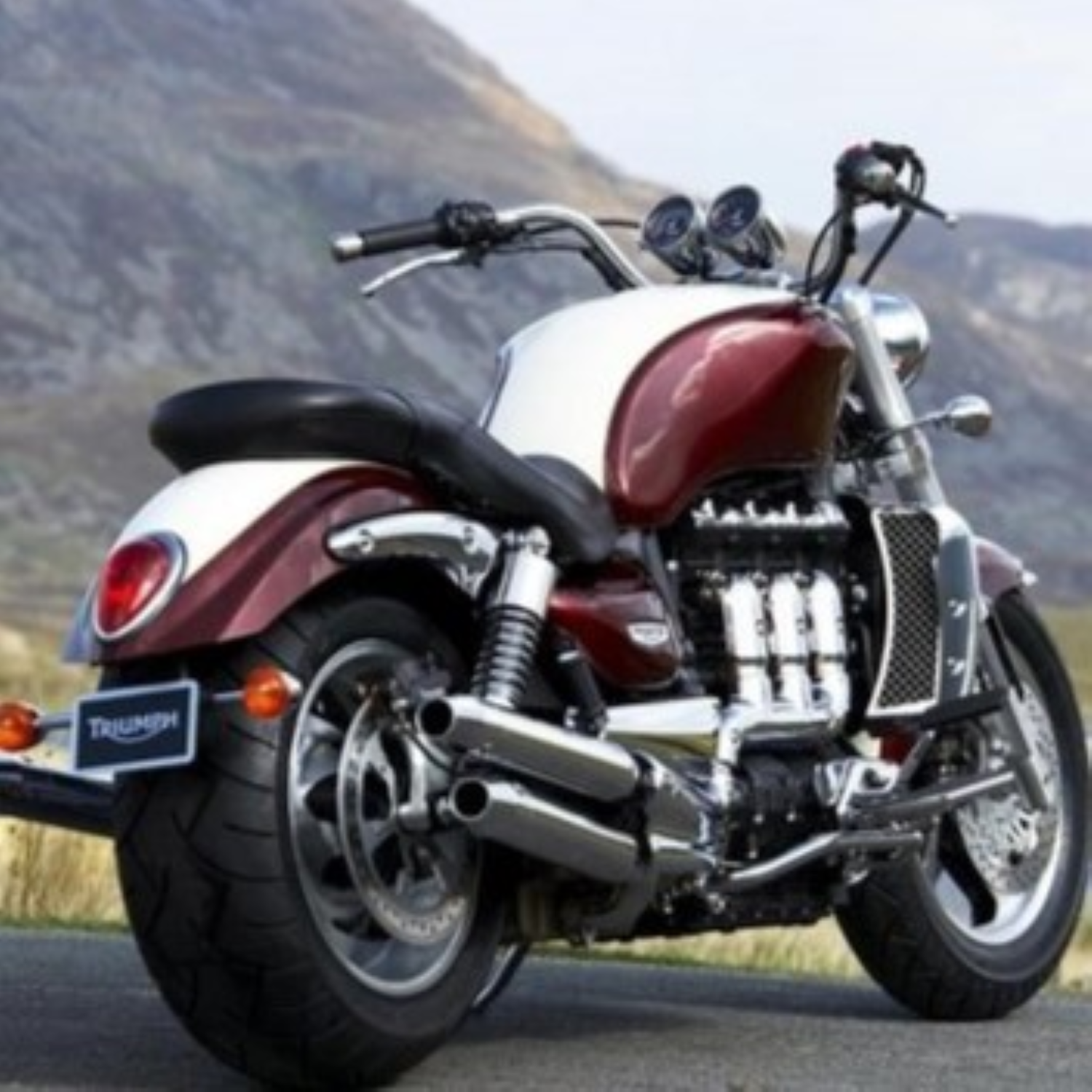 OEM Triumph Motorcycle Paint – Factory-Matched for Touch-up, Aerosol ...
