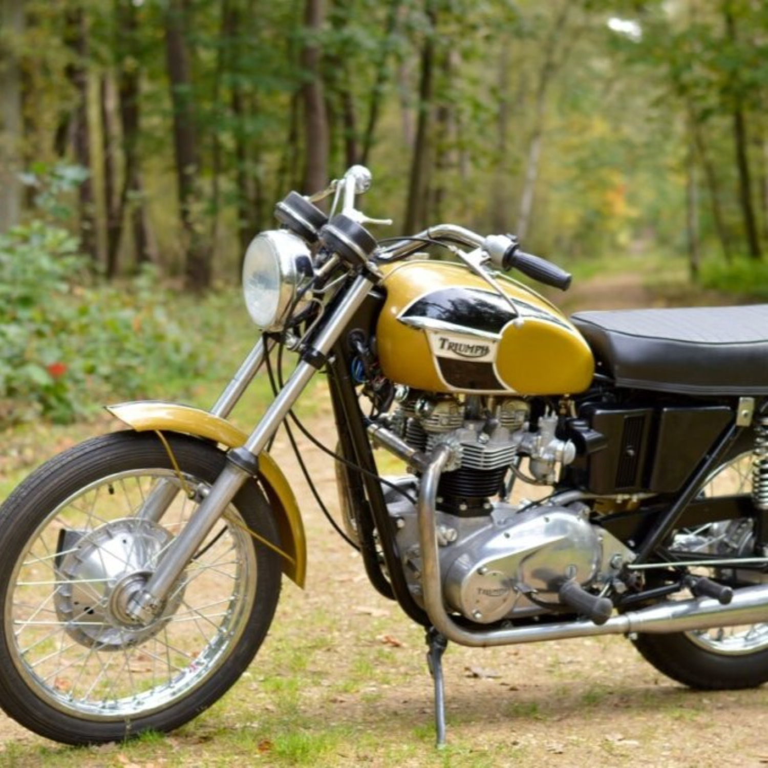 Triumph Tiger Gold Motorcycle Paint