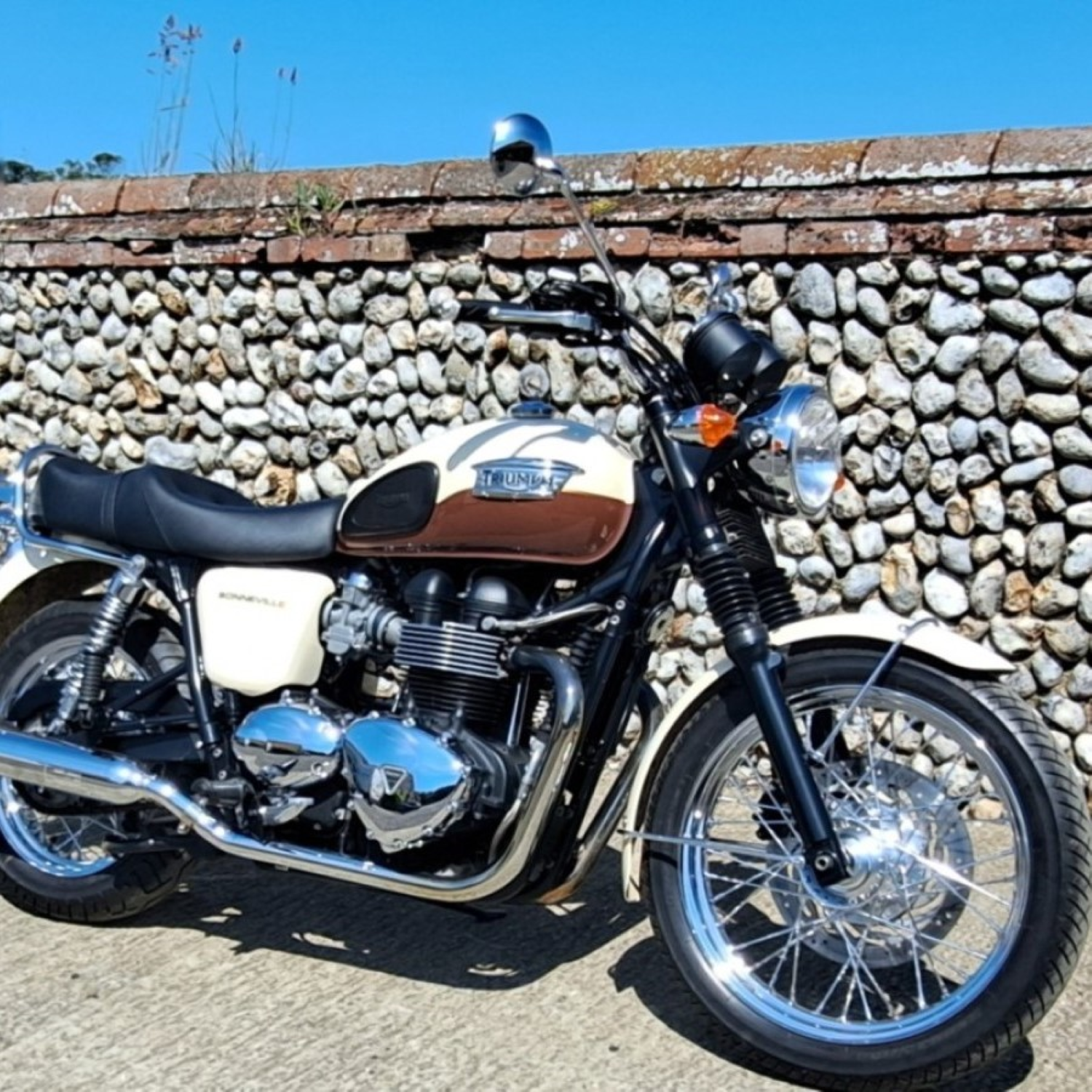 OEM Triumph Motorcycle Paint – Factory-Matched for Touch-up, Aerosol ...